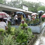 Speedy queues depends on BEI creativity